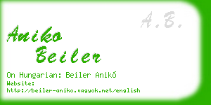 aniko beiler business card